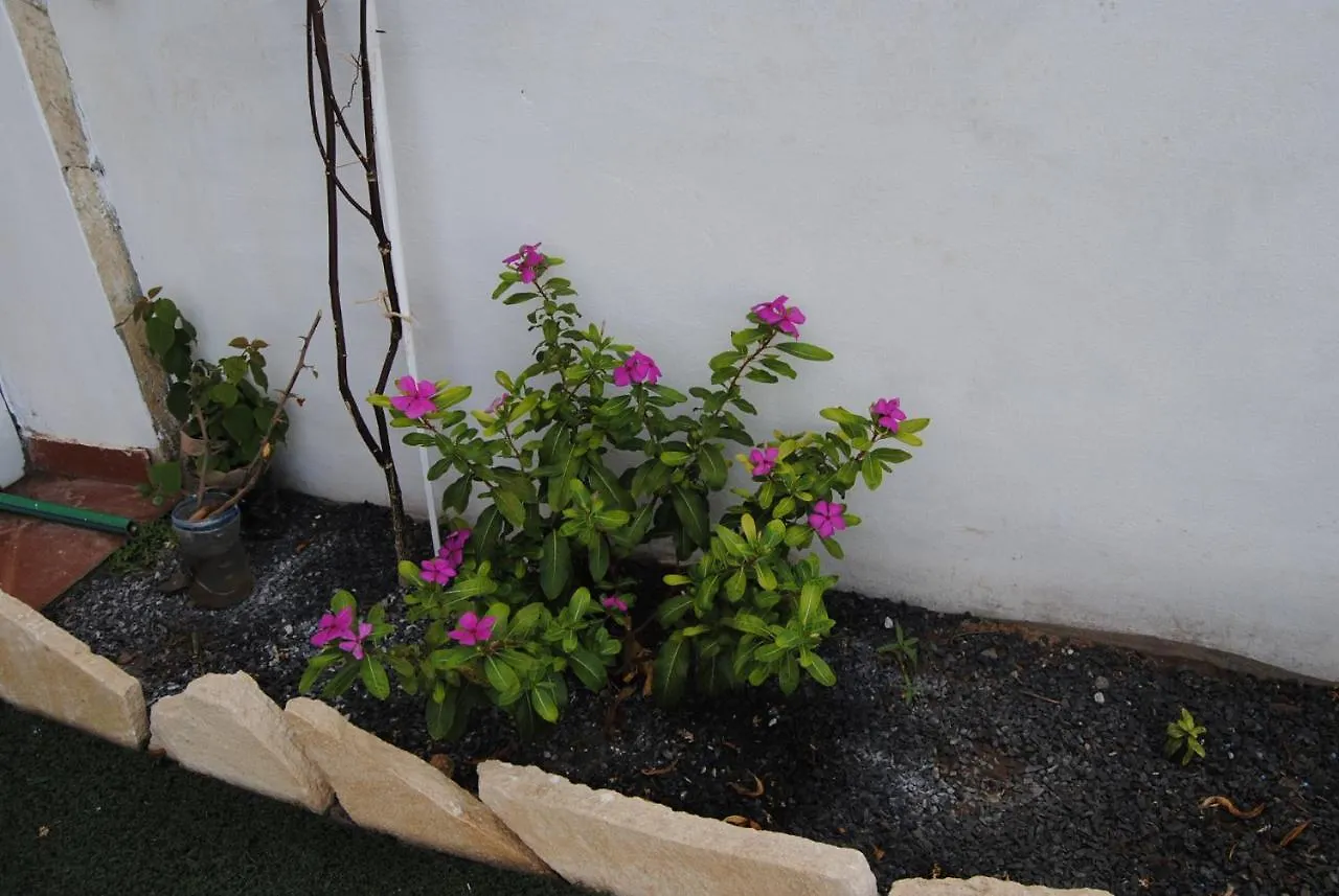 A.M.A Appartament Calheta